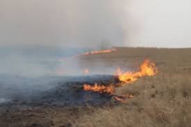 30,000 hectares of land affected by fire in one day